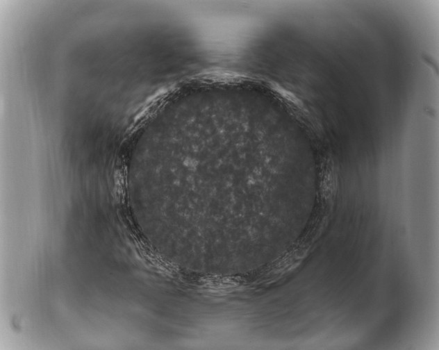 X0000101231397200807071400