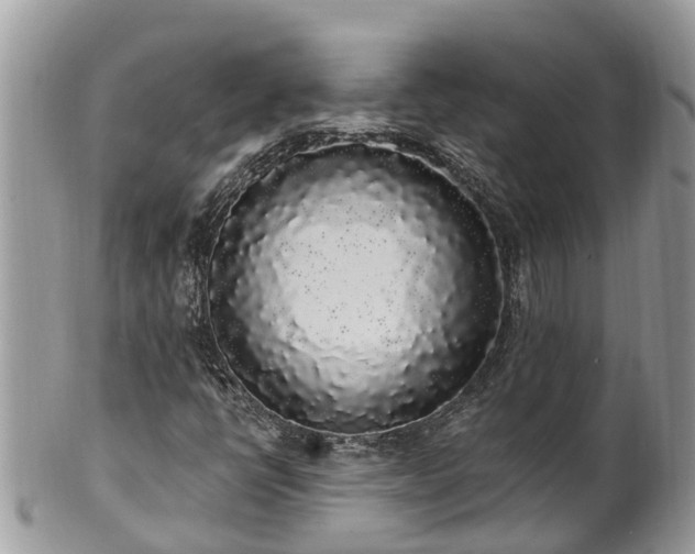 X0000101231398200807071400