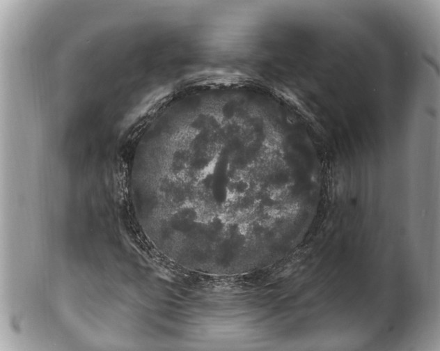 X0000101231399200807071400