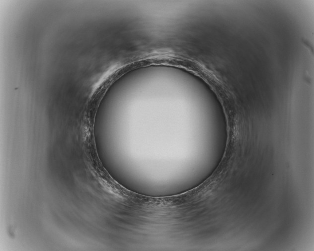 X0000101231400200807071400