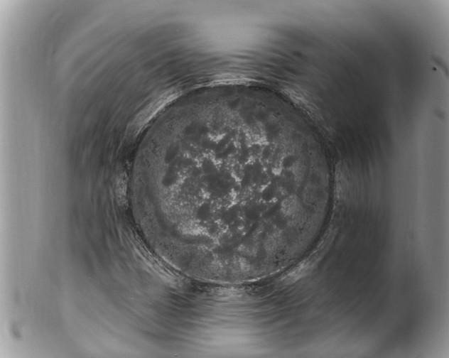 X0000101231401200807071400