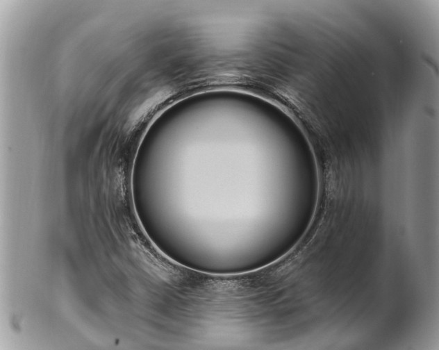 X0000101231402200807071400