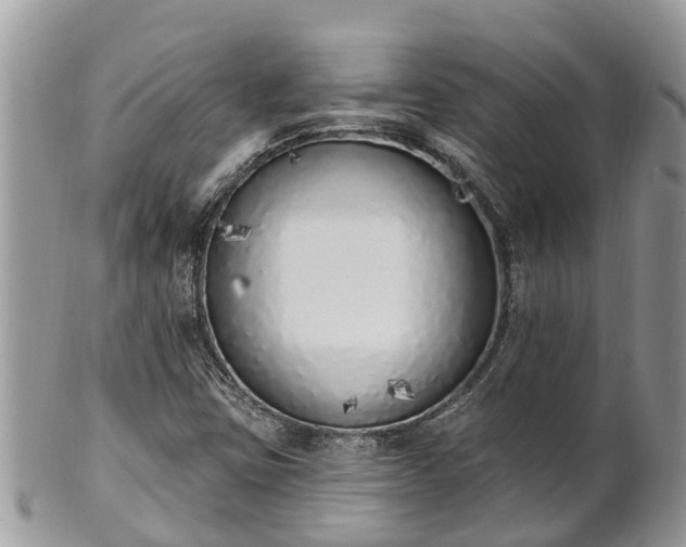 X0000101231403200807071400