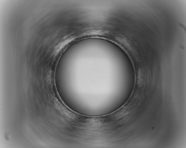 X0000101231404200807071400