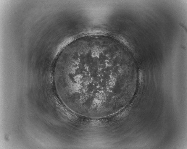 X0000101231405200807071400