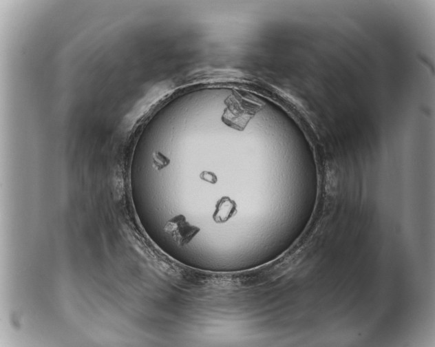 X0000101231407200807071400