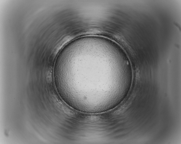 X0000101231409200807071400
