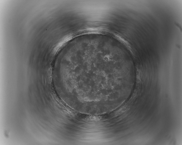 X0000101231411200807071400
