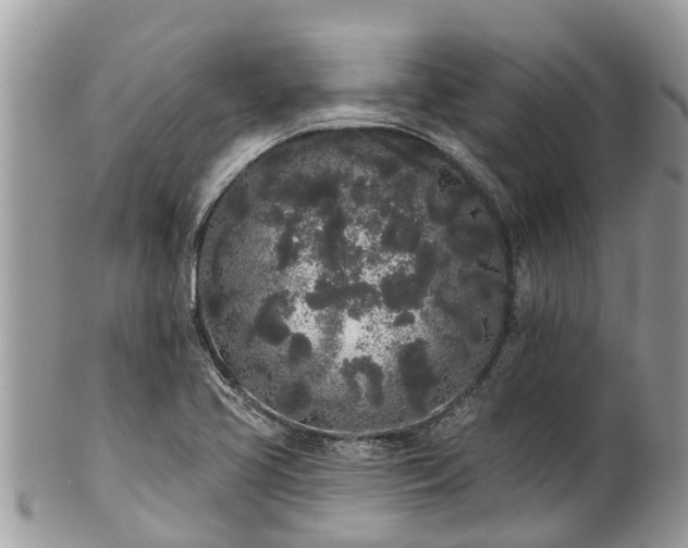 X0000101231413200807071400