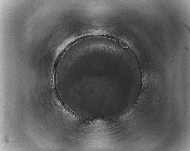 X0000101231414200807071400