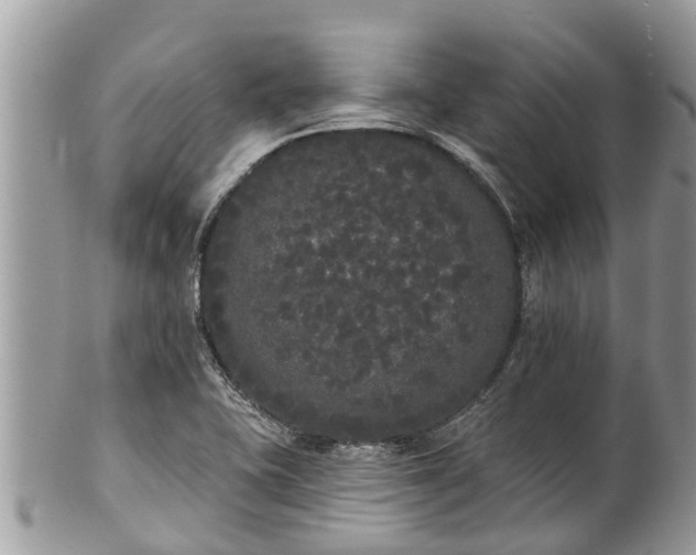 X0000101231415200807071400