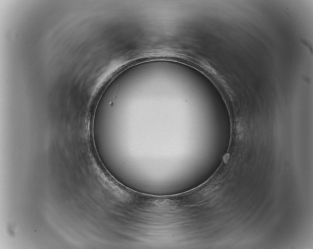 X0000101231416200807071400