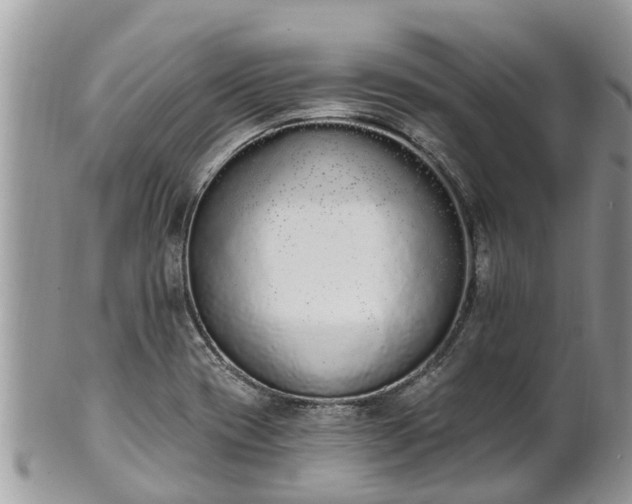 X0000101231417200807071401