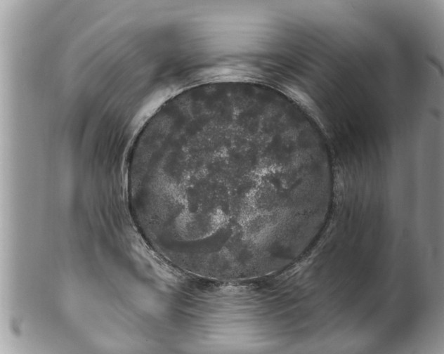 X0000101231419200807071401