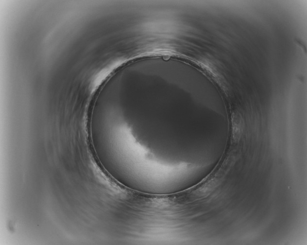 X0000101231422200807071401