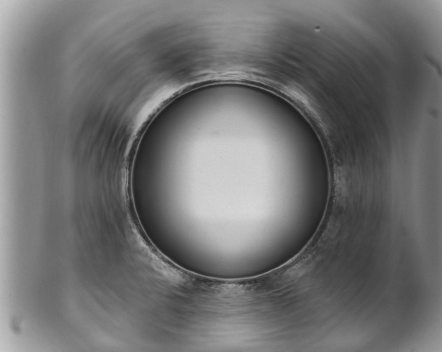 X0000101231424200807071401