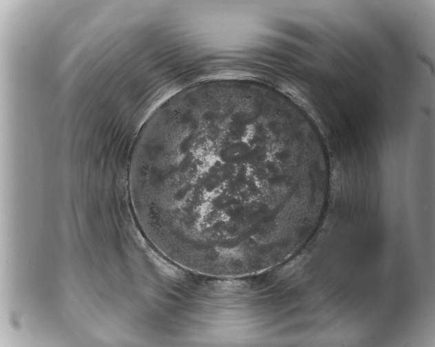 X0000101231425200807071401