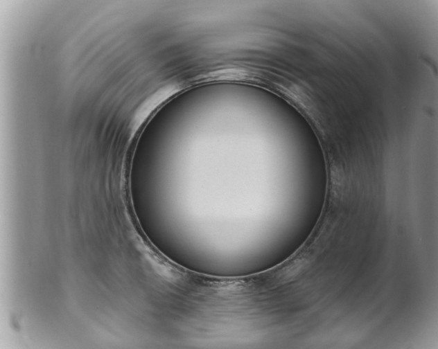 X0000101231426200807071401