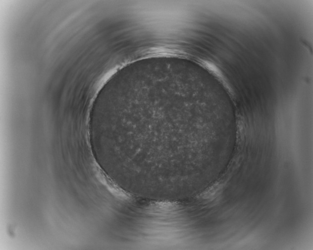 X0000101231427200807071401