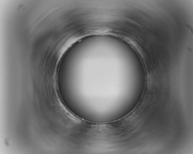 X0000101231432200807071401