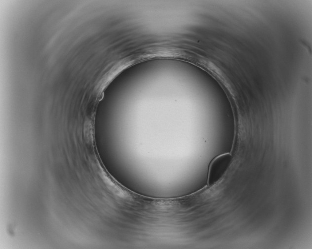 X0000101231433200807071401