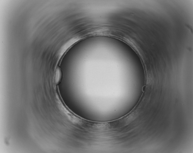 X0000101231434200807071401