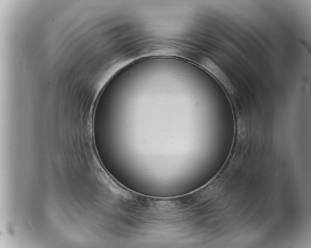 X0000101231436200807071401