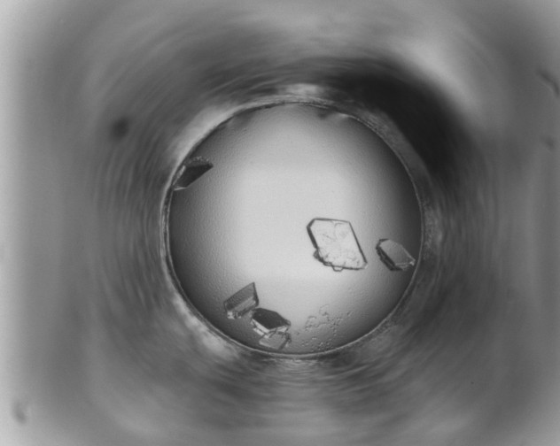 X0000101231439200807071401