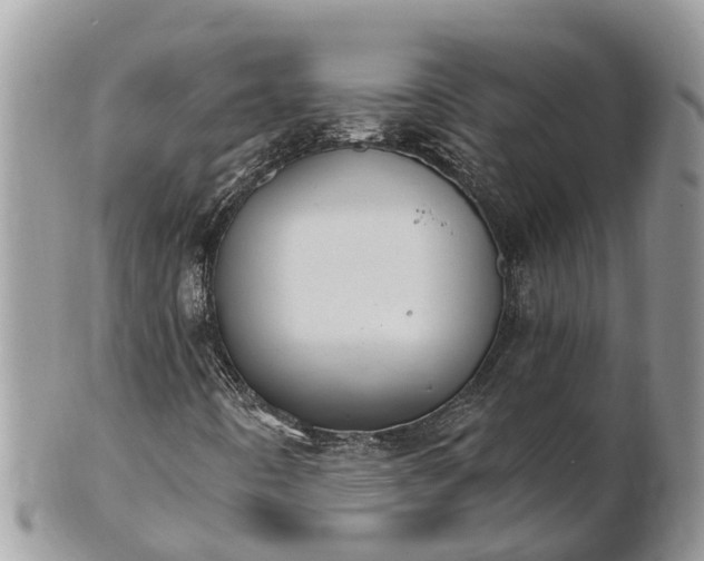 X0000101231442200807071400