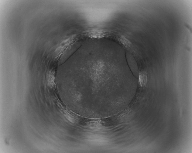 X0000101231444200807071400