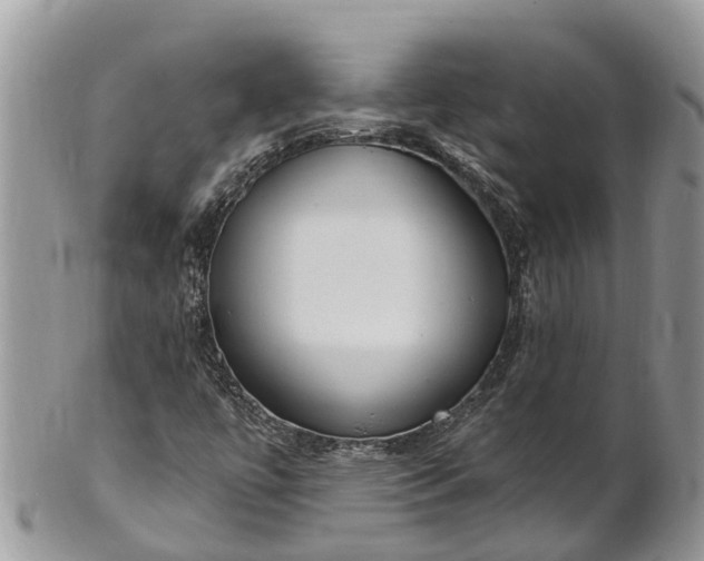 X0000101231447200807071400