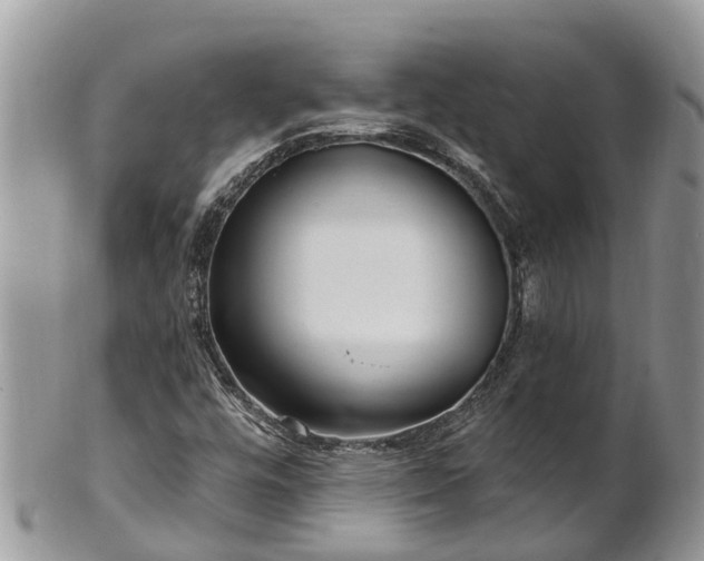 X0000101231448200807071400
