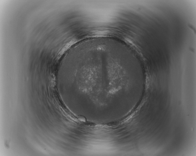 X0000101231449200807071400