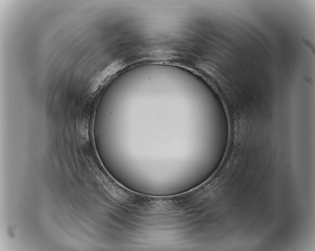 X0000101231451200807071400
