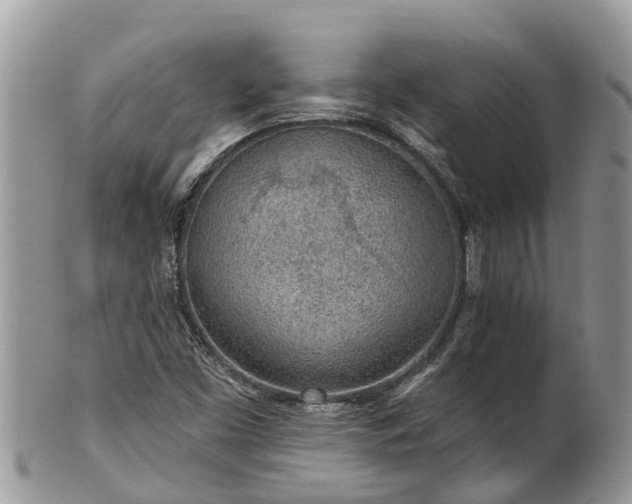 X0000101231453200807071400