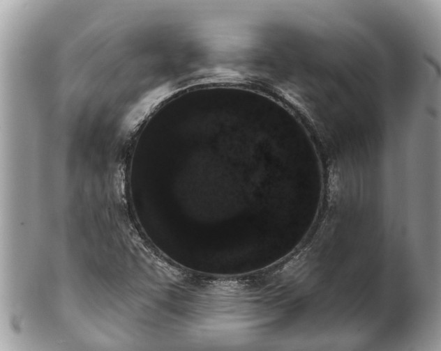 X0000101231455200807071400