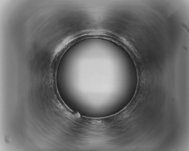 X0000101231456200807071400