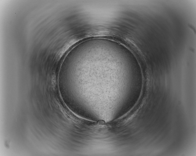X0000101231457200807071400