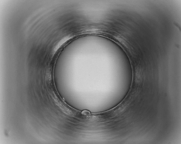 X0000101231458200807071400