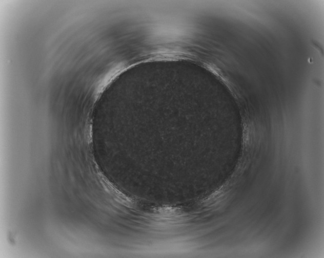 X0000101231459200807071400
