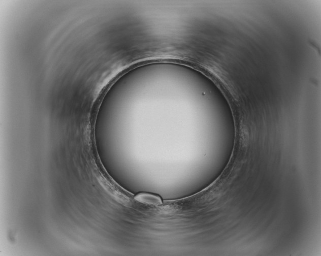 X0000101231460200807071400