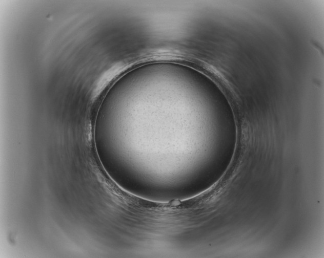 X0000101231461200807071400