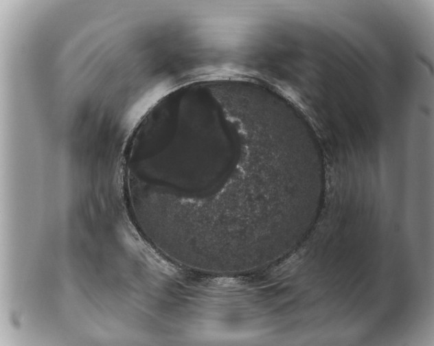 X0000101231463200807071400