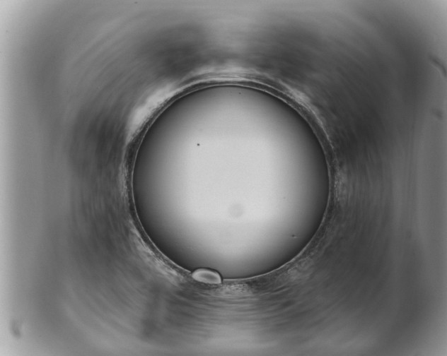 X0000101231464200807071400