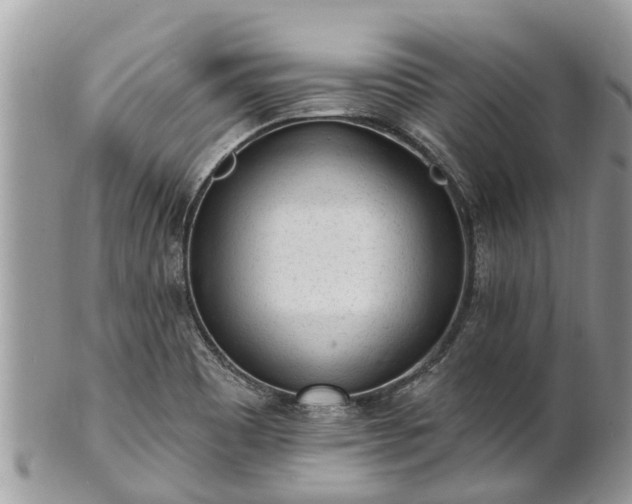 X0000101231465200807071359