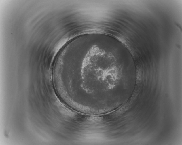 X0000101231466200807071359