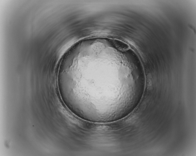 X0000101231467200807071359