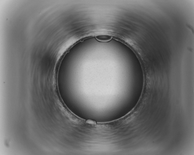 X0000101231469200807071359
