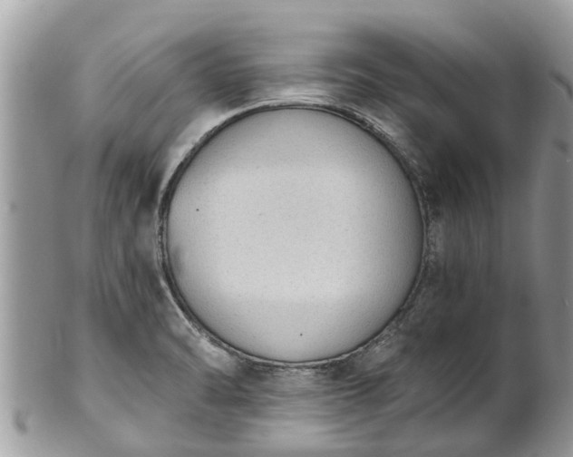 X0000101231470200807071359