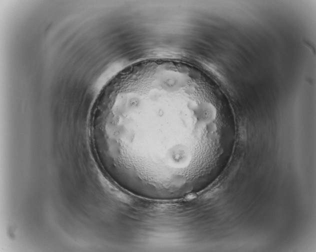 X0000101231471200807071359
